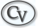 CorpViews.com Logo