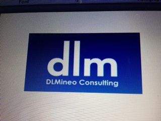 DLMineo_Consulting Logo