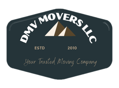 DMVMOVERSLLC Logo