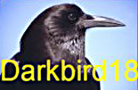 Darkbird18.com Logo