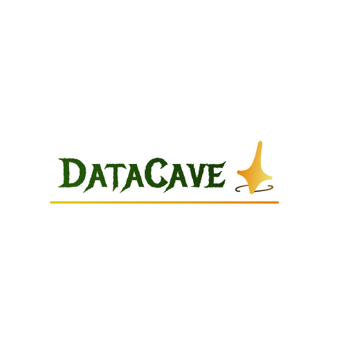 Data-Cave Logo