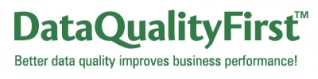 DataQualityFirst Inc Logo