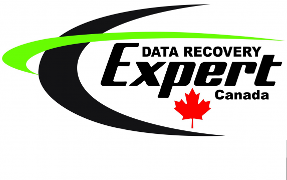 DataRecoveryExpert Logo