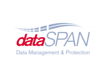 DataSpan Logo