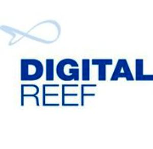DigitalReefInc Logo