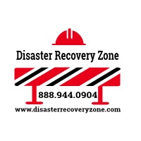DisasterRecoveryZone Logo