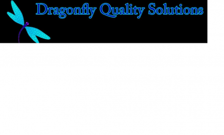 Dragonfly Quality Solutions LLC Logo