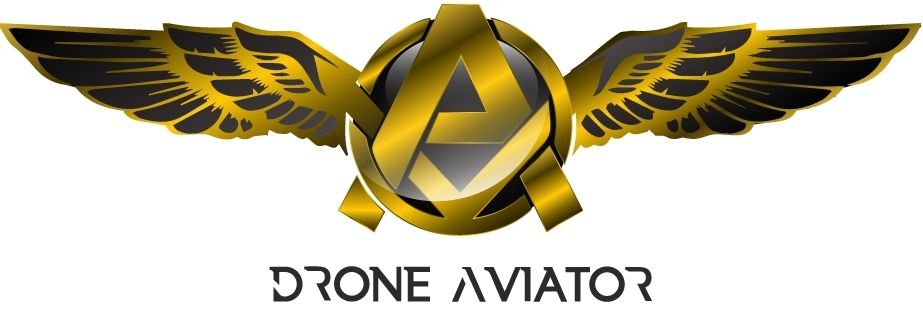 DroneBoss Logo