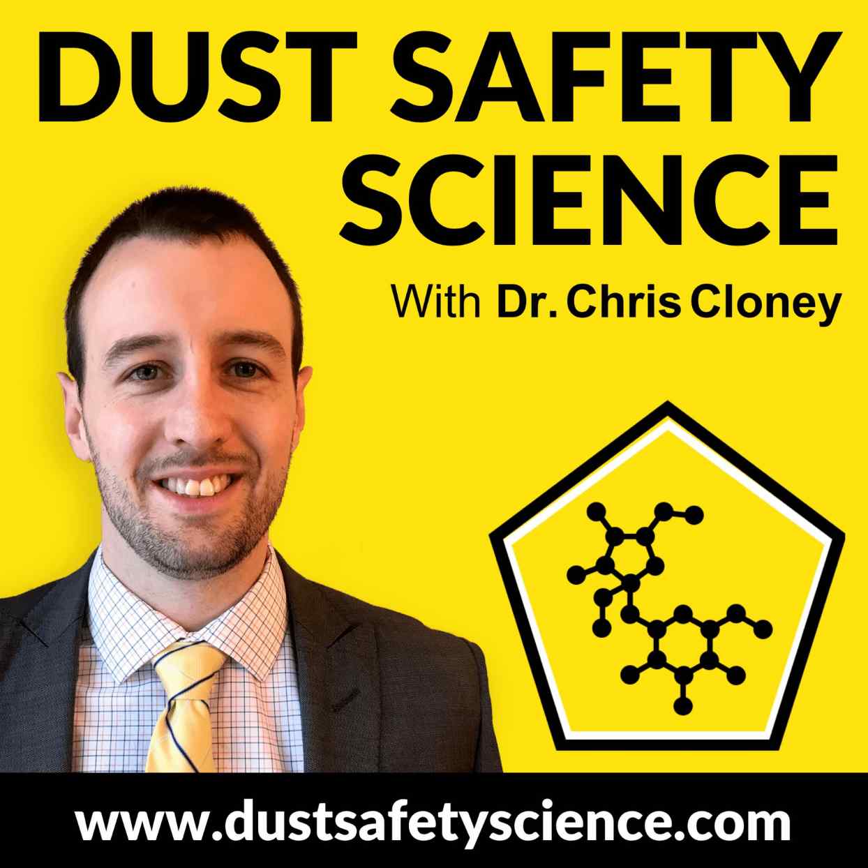 Dust Safety Science Logo