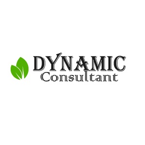 Dynamic Consultant Logo