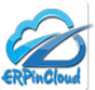 ERPinCloud Logo