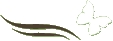 EasyNaturalGlow Logo