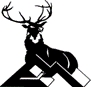 ElkMountainDudeRanch Logo