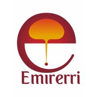 EmirerriSteel Logo