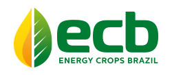 EnergyCropsBRZ Logo