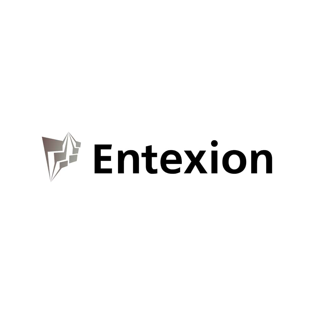 Entexion Logo