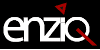 EnziqSolutions Logo