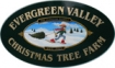 EvergreenValleyCTF Logo