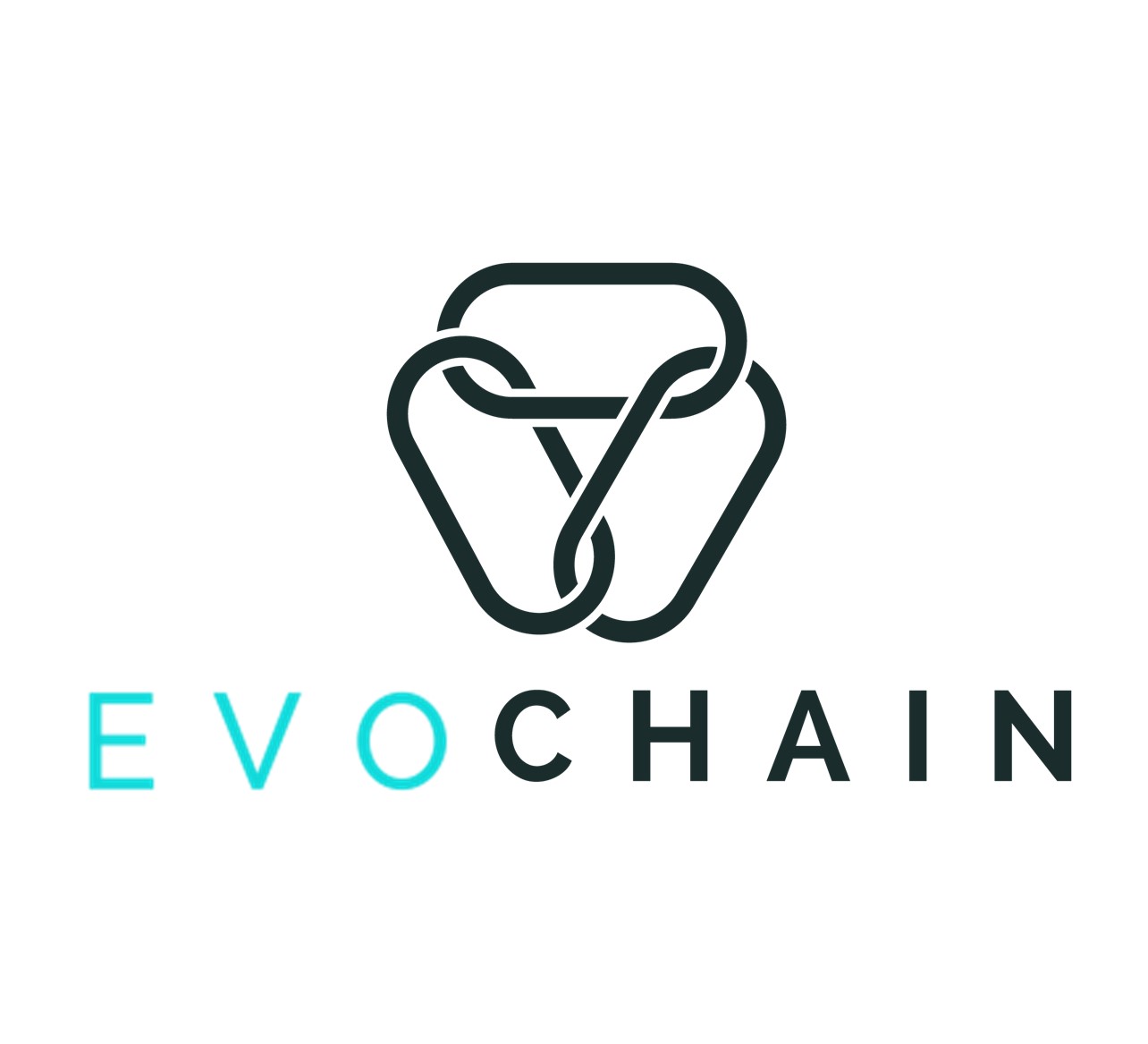 EvoChain Logo