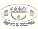 Excel1 Logo