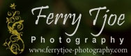 FerryTjoePhotograph Logo