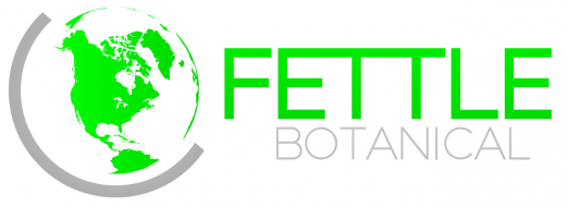 FettleBotanical Logo