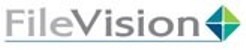 FileVision USA LLC Logo