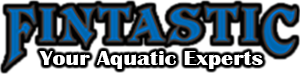 Fintastic Logo