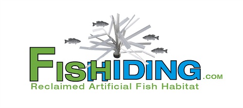 Fishiding.com Logo