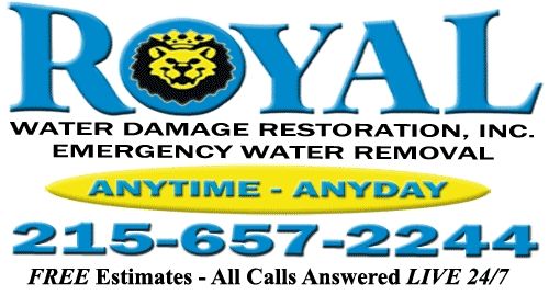 Flood Cleanup Local - Huntingdon Valley, PA 19006 Logo