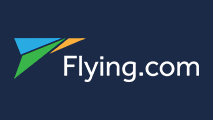 FlyingLLC Logo
