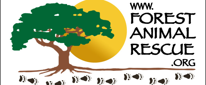ForestAnimalRescue Logo