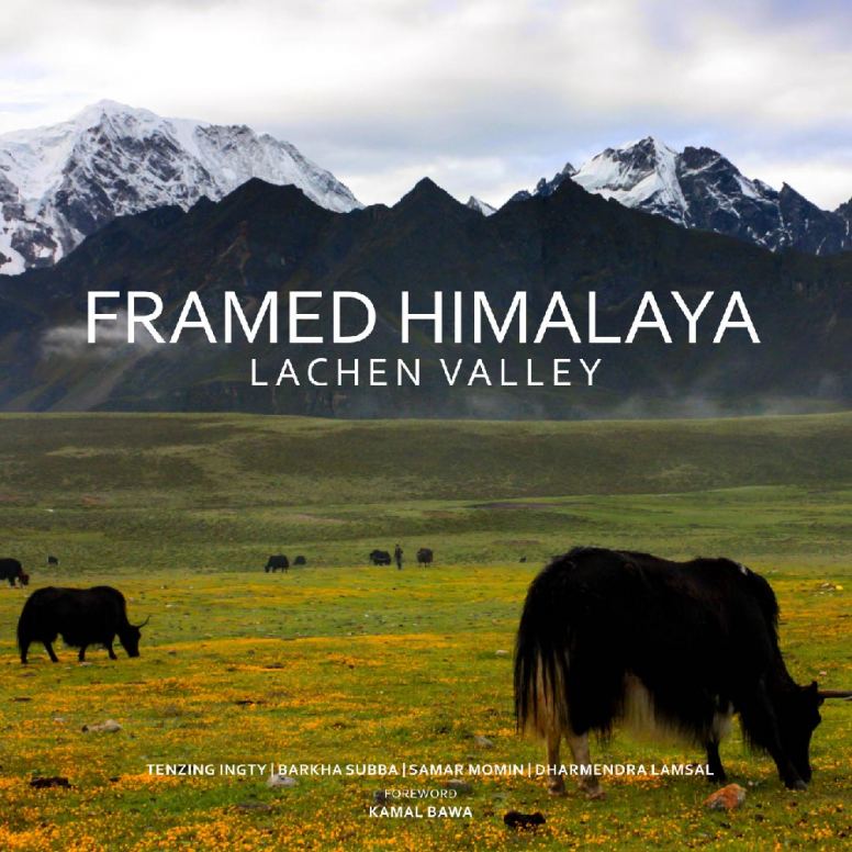 Framed Himalaya Logo