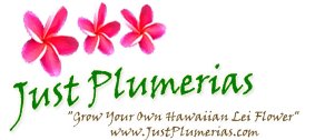 JustPlumerias Logo