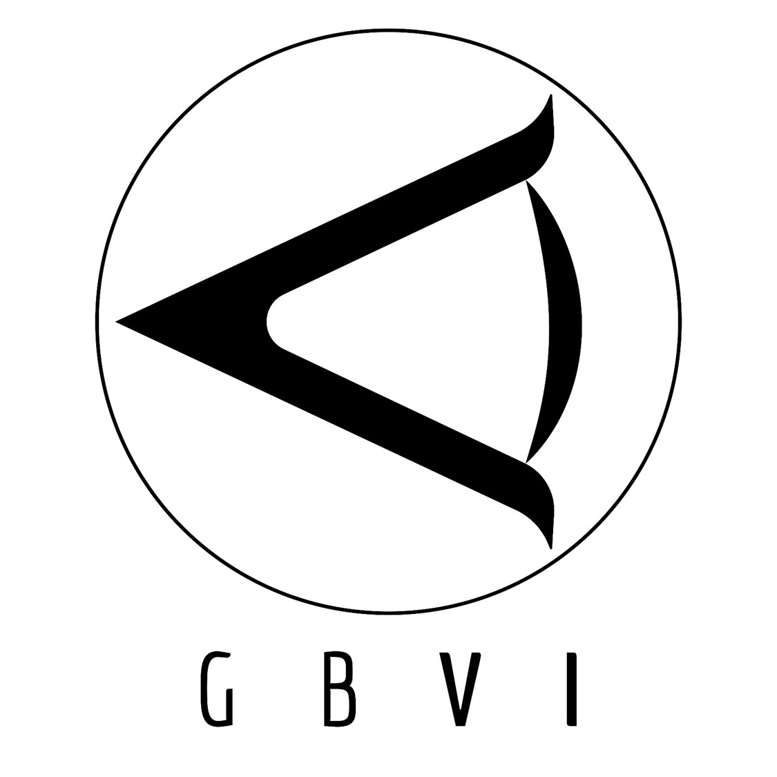 GBviDisplayTech Logo
