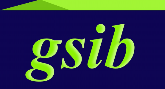 GSIBLTD Logo
