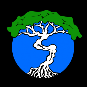 GoTOLO Logo