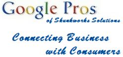 Google Pros of Skunkworks Solutions Logo