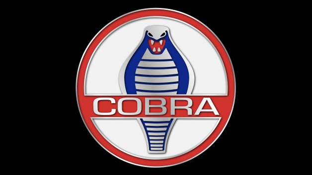 Hayden Cobra Logo