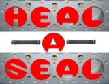 Heal-A-Seal Logo