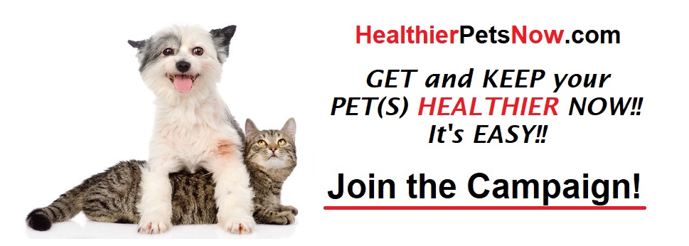 HealthierPetsNow Logo