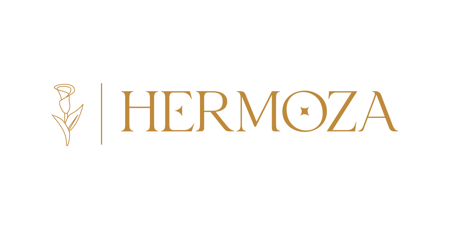 Hermoza Design Ltd. Logo