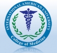 International American University Logo