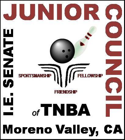 Junior Council Program - IES-TNBA Logo