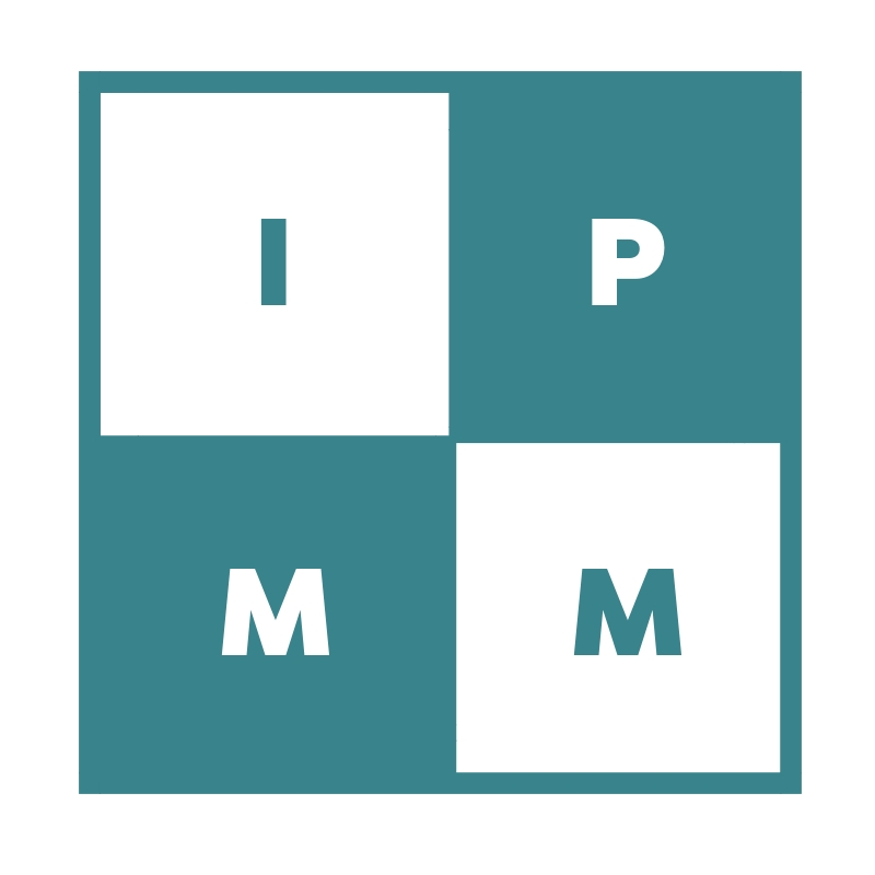 IPaintMyMind-Chicago Logo