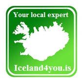 Iceland4you Logo