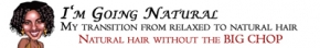 ImGoingNatural Logo