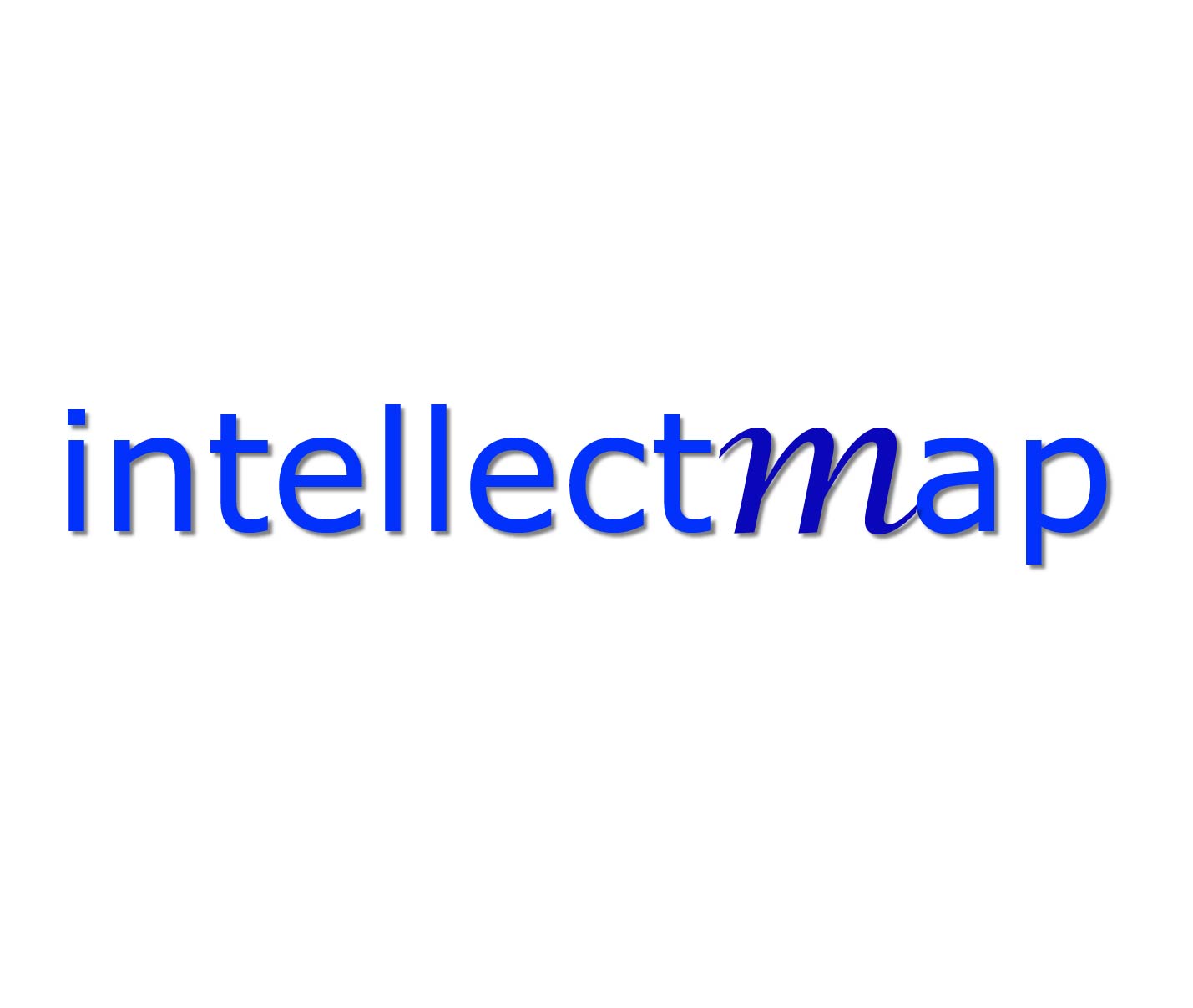 Intellectmap Corporation Logo