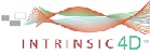 Intrinsic4D Logo