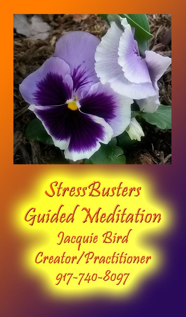 StressBusters Guided Meditation Logo